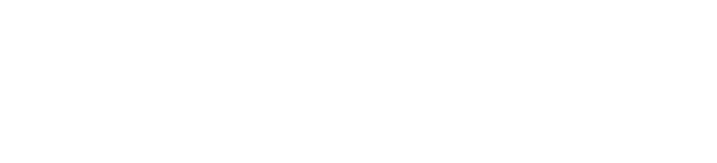 WPZee logo